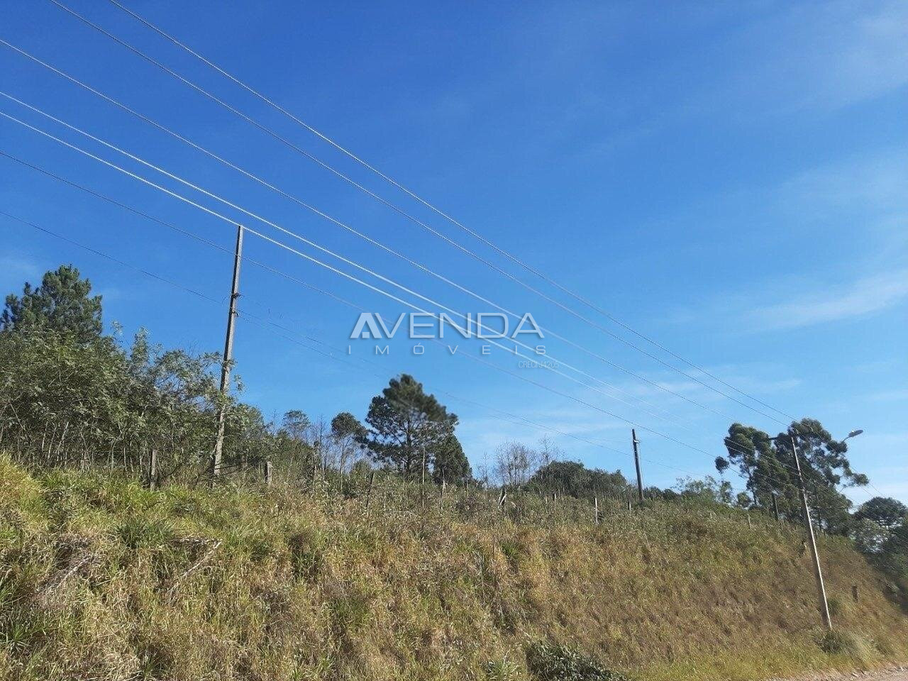 Terreno, 1 hectares - Foto 4