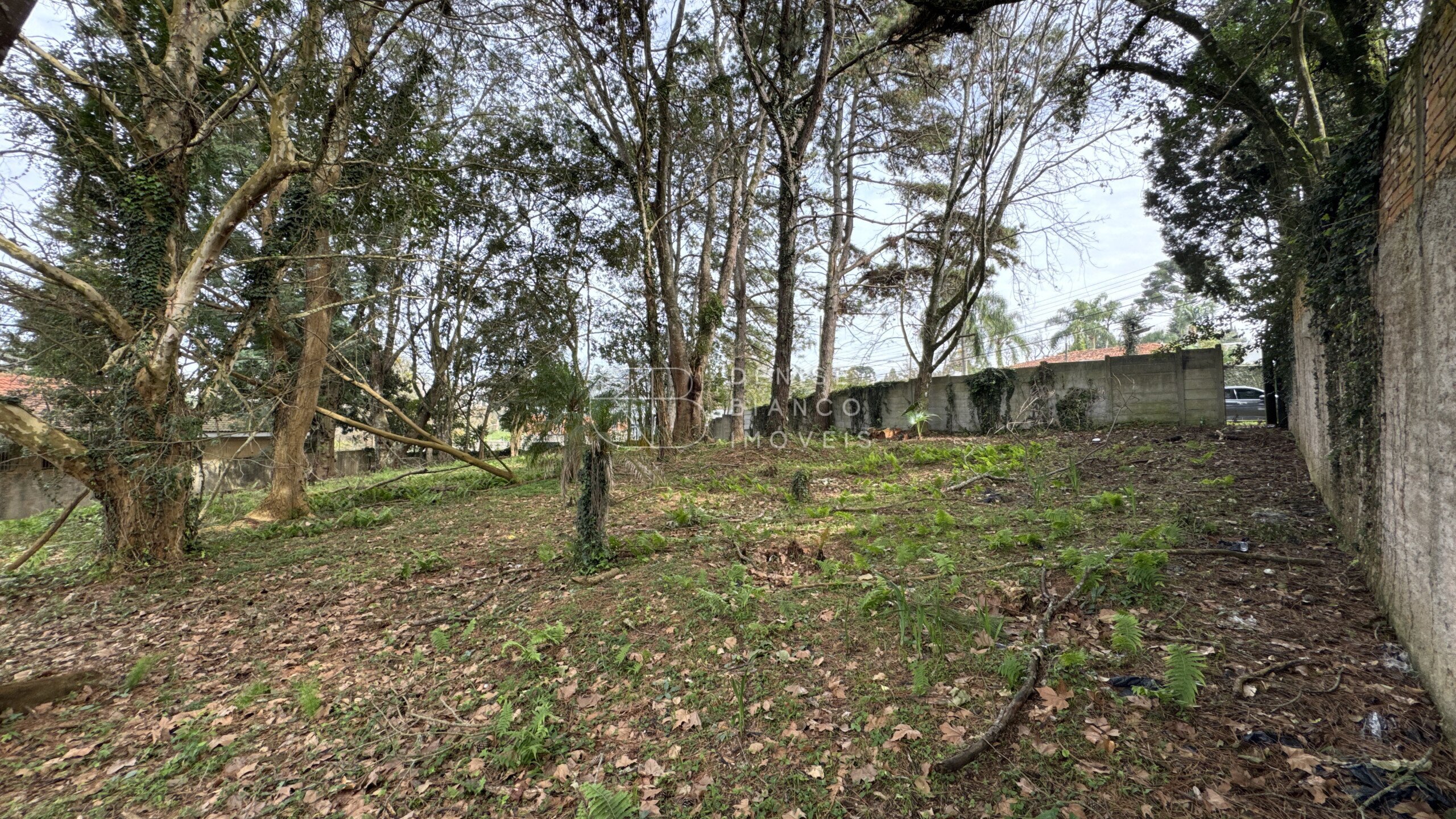 TERRENO em Jardim Schaffer - Ref: DB0194