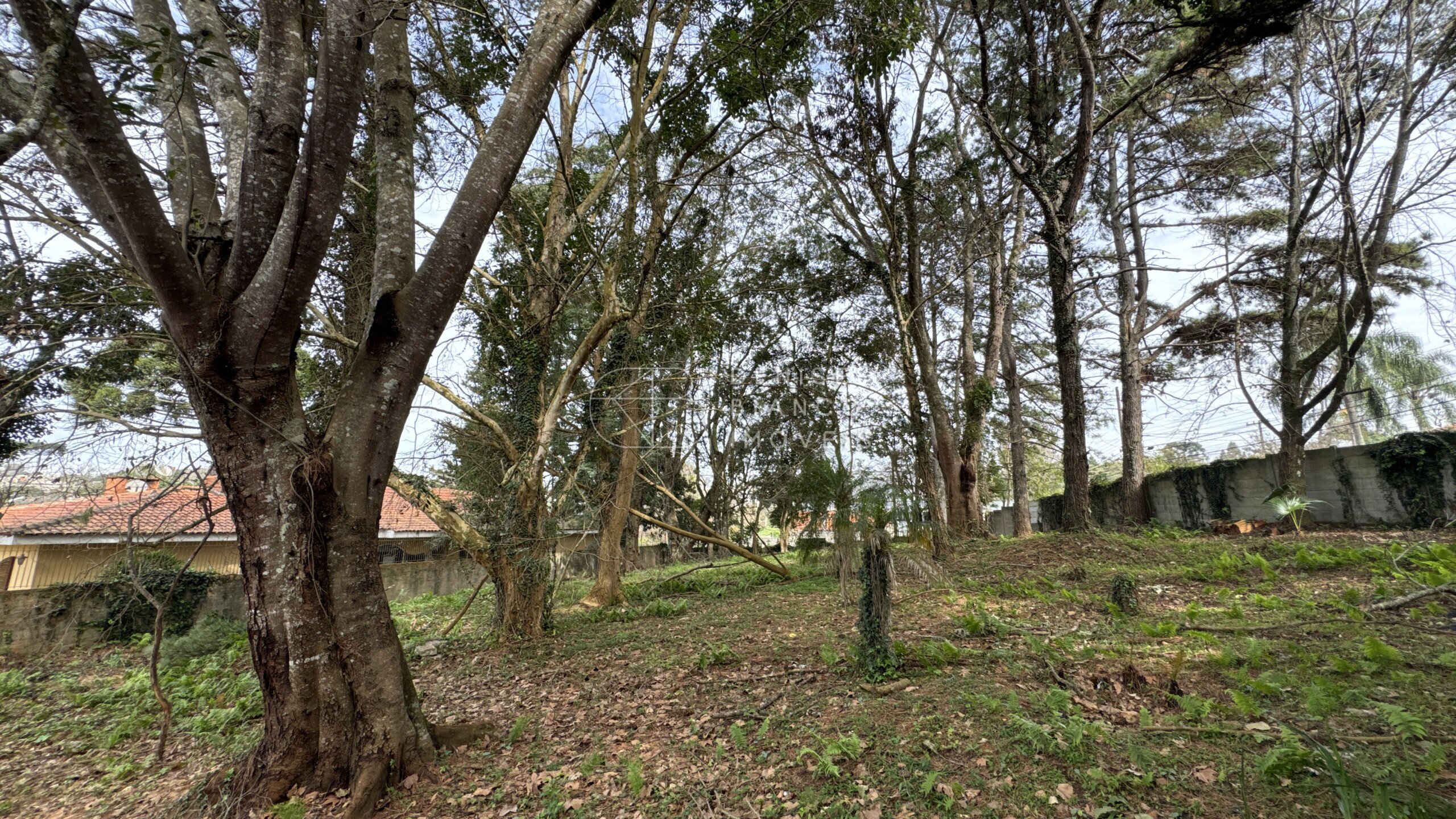 TERRENO em Jardim Schaffer - Ref: DB0194