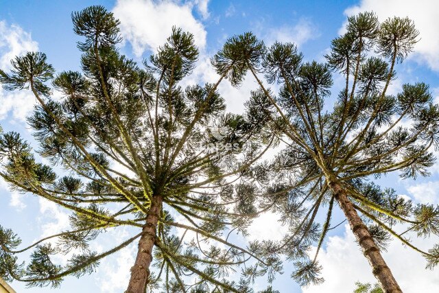 APARTAMENTO no Bairro: Ecoville - Lopes Home - Curitiba - foto 86