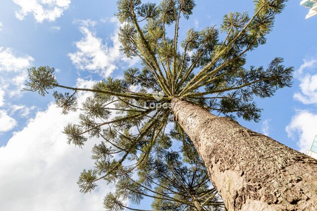 APARTAMENTO no Bairro: Ecoville - Lopes Home - Curitiba - foto 87
