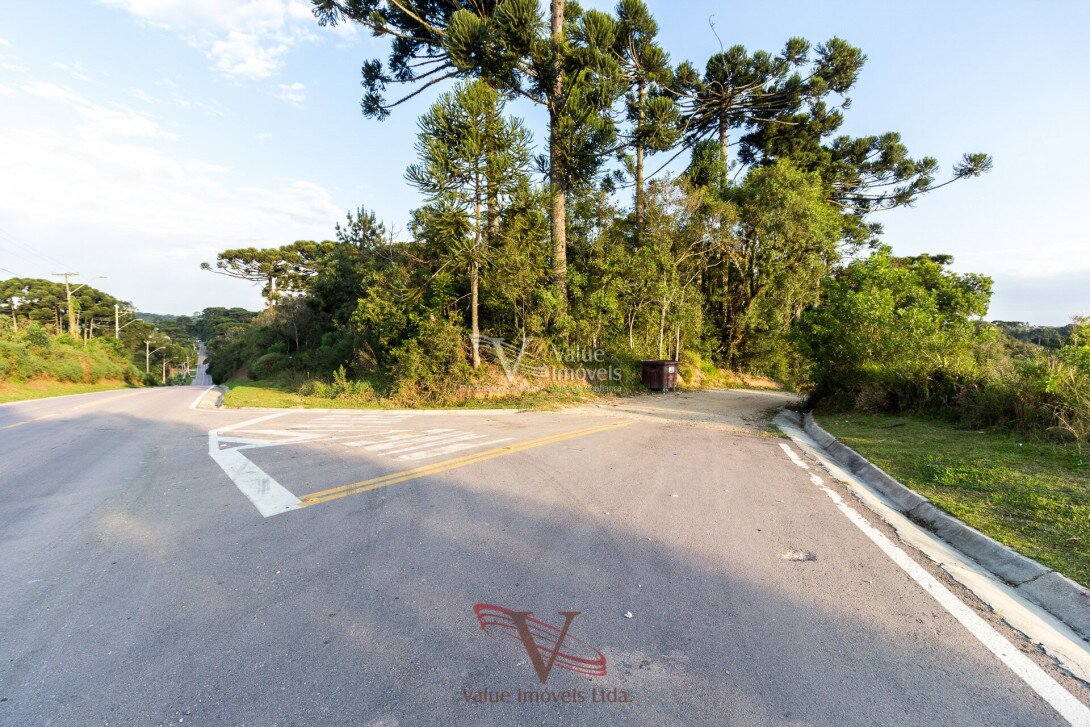 Foto 2 - CHÁCARA em ARAUCÁRIA - PR, no bairro Palmital - Referência VI-VC-CHACARA1ARAUCARIA