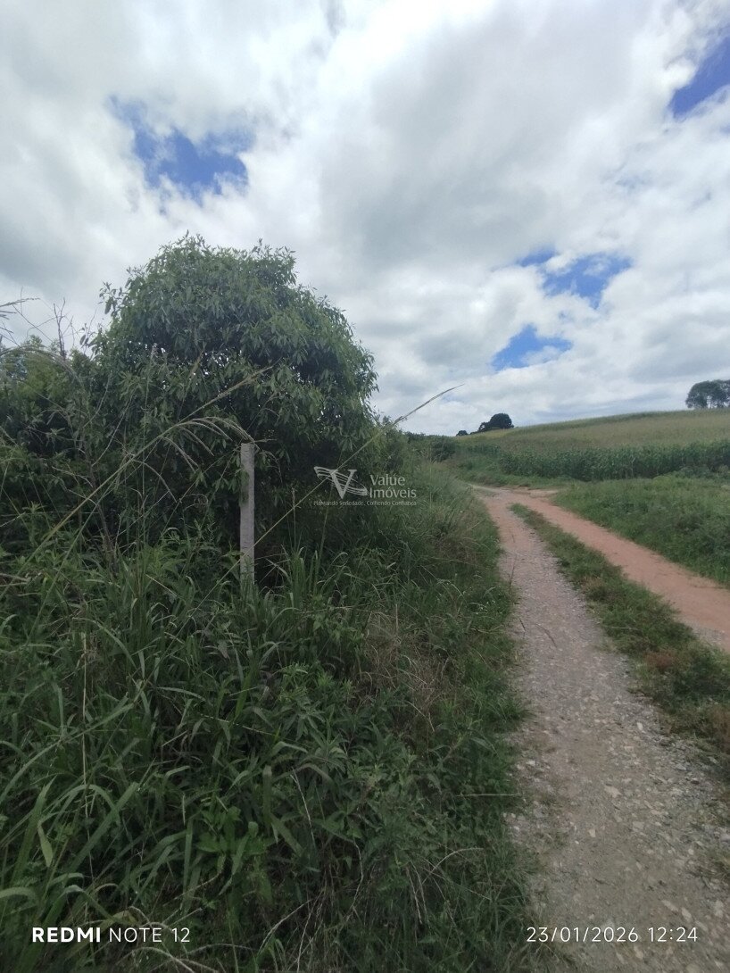 Foto 11 - CHÁCARA em ARAUCÁRIA - PR, no bairro Palmital - Referência VI-VC-CHACARA1ARAUCARIA