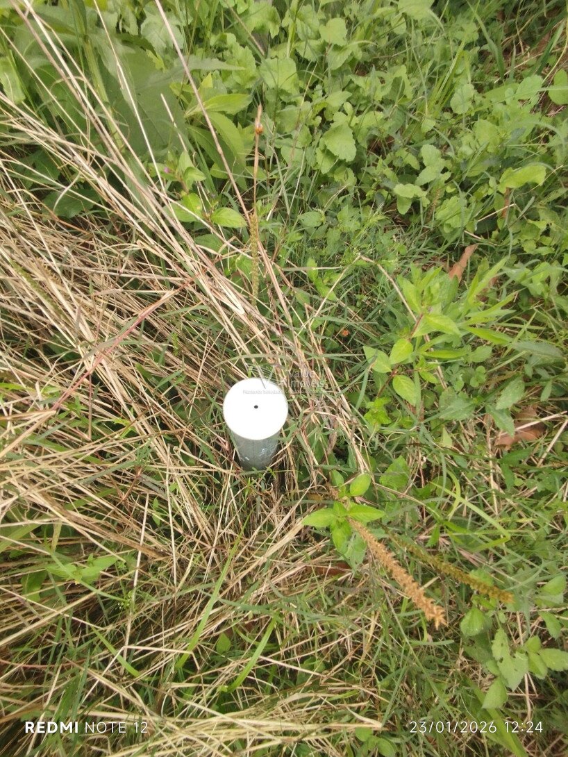 Foto 13 - CHÁCARA em ARAUCÁRIA - PR, no bairro Palmital - Referência VI-VC-CHACARA1ARAUCARIA