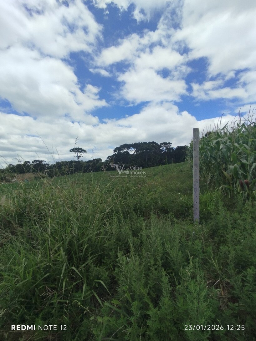 Foto 14 - CHÁCARA em ARAUCÁRIA - PR, no bairro Palmital - Referência VI-VC-CHACARA1ARAUCARIA