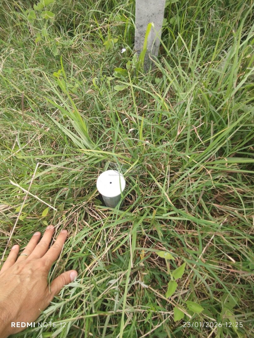 Foto 16 - CHÁCARA em ARAUCÁRIA - PR, no bairro Palmital - Referência VI-VC-CHACARA1ARAUCARIA