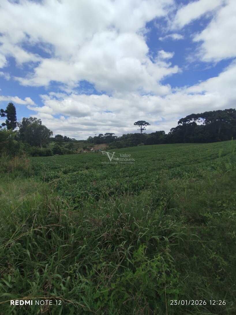 Foto 18 - CHÁCARA em ARAUCÁRIA - PR, no bairro Palmital - Referência VI-VC-CHACARA1ARAUCARIA