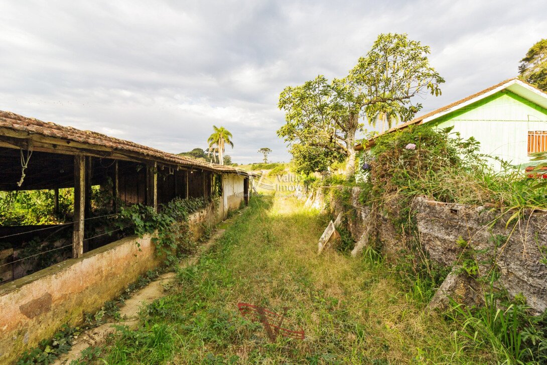 Foto 9 - CHÁCARA em ARAUCÁRIA - PR, no bairro Palmital - Referência VI-VC-CHACARA2ARAUCARIA