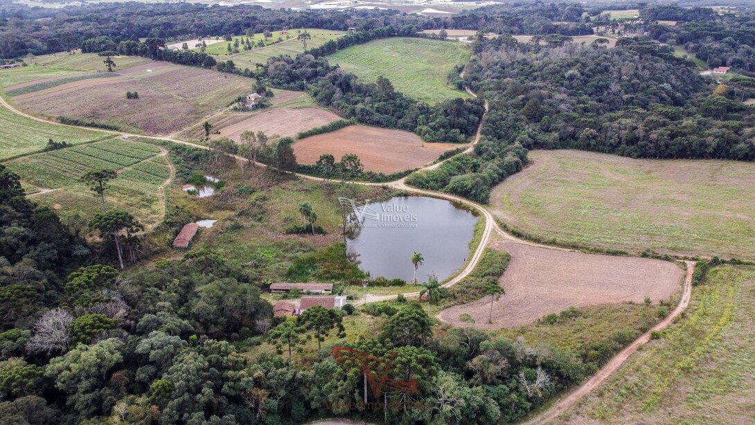 Foto 12 - CHÁCARA em ARAUCÁRIA - PR, no bairro Palmital - Referência VI-VC-CHACARA2ARAUCARIA