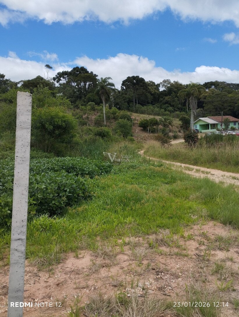 Foto 19 - CHÁCARA em ARAUCÁRIA - PR, no bairro Palmital - Referência VI-VC-CHACARA2ARAUCARIA