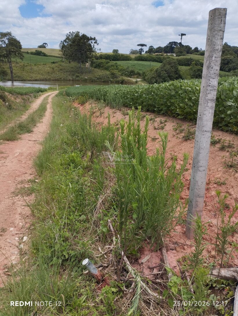 Foto 7 - CHÁCARA em ARAUCÁRIA - PR, no bairro Palmital - Referência VI-VC-CHACARA3ARAUCARIA