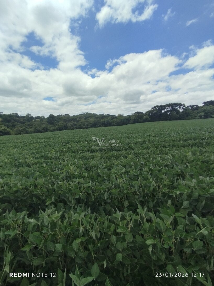 Foto 1 - CHÁCARA em ARAUCÁRIA - PR, no bairro Palmital - Referência VI-VC-CHACARA3ARAUCARIA