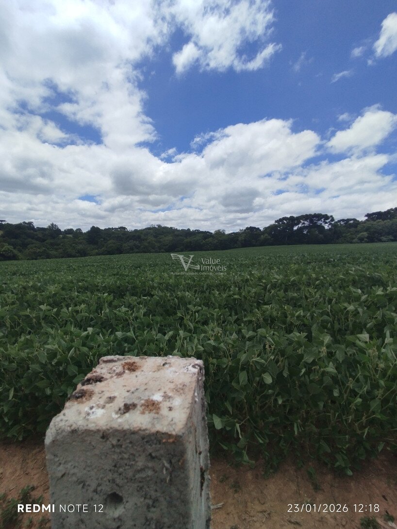 Foto 9 - CHÁCARA em ARAUCÁRIA - PR, no bairro Palmital - Referência VI-VC-CHACARA3ARAUCARIA