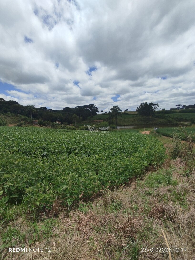 Foto 10 - CHÁCARA em ARAUCÁRIA - PR, no bairro Palmital - Referência VI-VC-CHACARA3ARAUCARIA