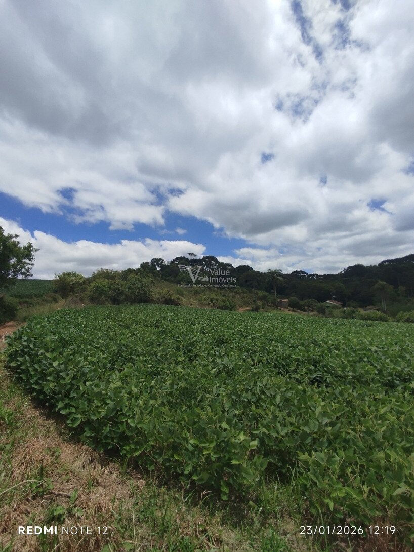 Foto 11 - CHÁCARA em ARAUCÁRIA - PR, no bairro Palmital - Referência VI-VC-CHACARA3ARAUCARIA