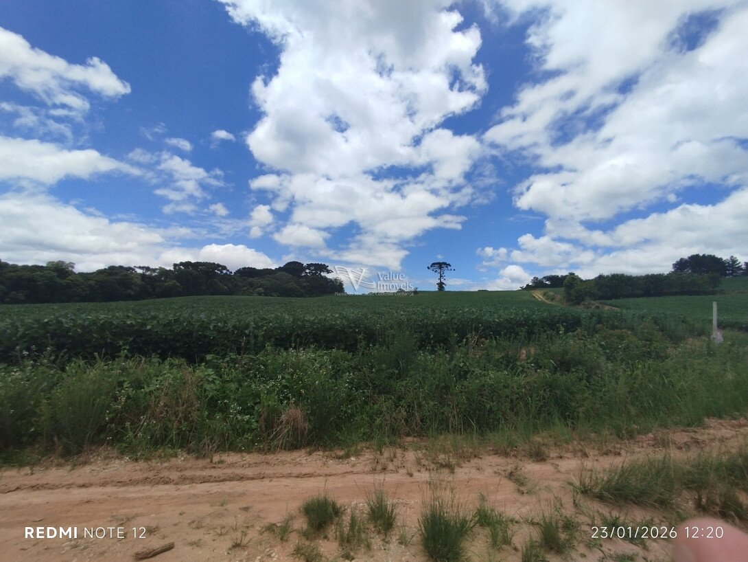 Foto 13 - CHÁCARA em ARAUCÁRIA - PR, no bairro Palmital - Referência VI-VC-CHACARA3ARAUCARIA
