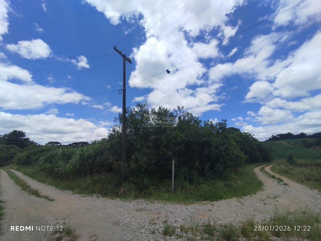 Foto 14 - CHÁCARA em ARAUCÁRIA - PR, no bairro Palmital - Referência VI-VC-CHACARA3ARAUCARIA