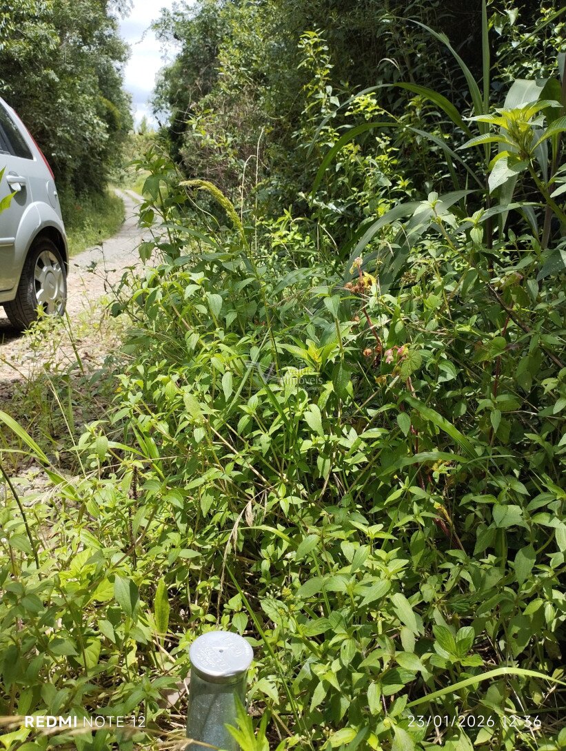Foto 7 - CHÁCARA em ARAUCÁRIA - PR, no bairro Palmital - Referência VI-VC-CHACARA4ARAUCARIA
