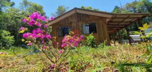 SÍTIO COM 30.666,24 M² EM TRÊS CÓRREGOS, CAMPO LARGO - PR Referência CHA-0015
