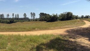 Terreno em Mandirituba - Zona rural - Ref: TE0044-CNFI