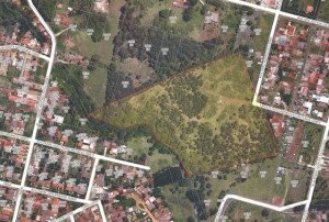 Terreno em Ponta grossa - Cará-cará - Ref: TE0065-RIH9