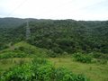 Foto 6 - CHÁCARA em TIJUCAS DO SUL - PR, no bairro Centro - Referência VI-CHACARA OD- TJSul