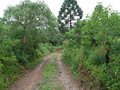 Foto 7 - CHÁCARA em TIJUCAS DO SUL - PR, no bairro Centro - Referência VI-CHACARA OD- TJSul