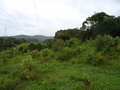 Foto 9 - CHÁCARA em TIJUCAS DO SUL - PR, no bairro Centro - Referência VI-CHACARA OD- TJSul