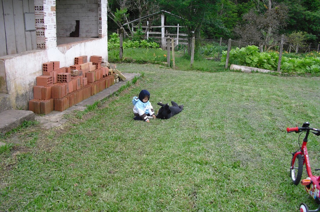 Foto 15 - CHÁCARA em TIJUCAS DO SUL - PR, no bairro Centro - Referência VI-CHACARA OD- TJSul