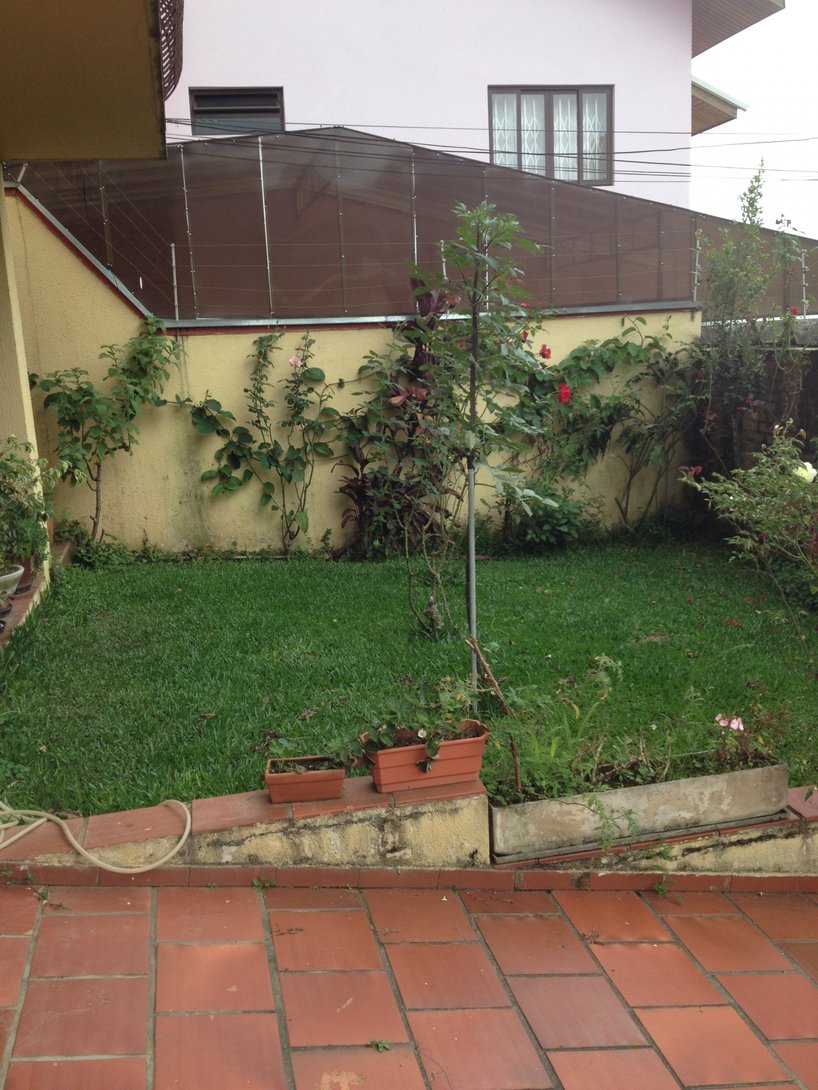 Foto 5 - TERRENO em CURITIBA - PR, no bairro Bom Retiro - Referência VI-VR-TERRPAD