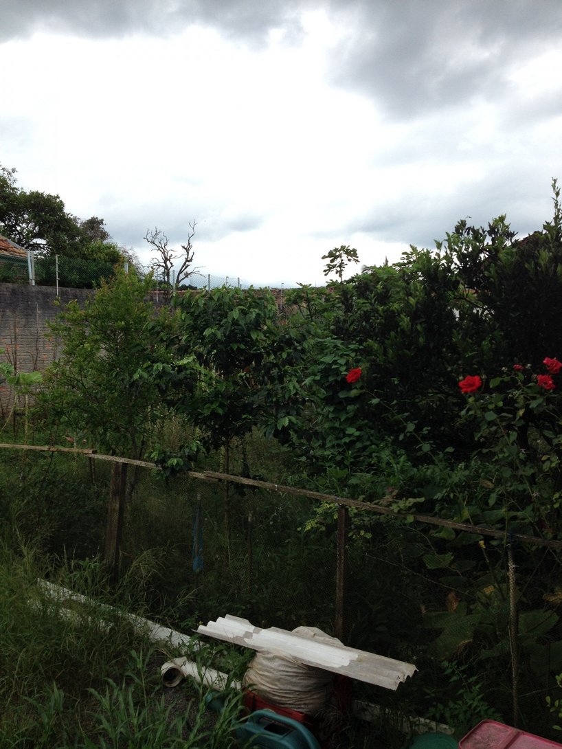 Foto 10 - TERRENO em CURITIBA - PR, no bairro Bom Retiro - Referência VI-VR-TERRPAD