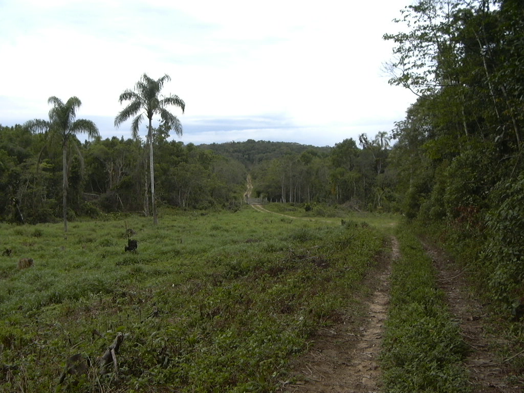 Foto 16 - FAZENDA a venda no bairro Barra do Ribeira, IGUAPE - Referência FZ010018