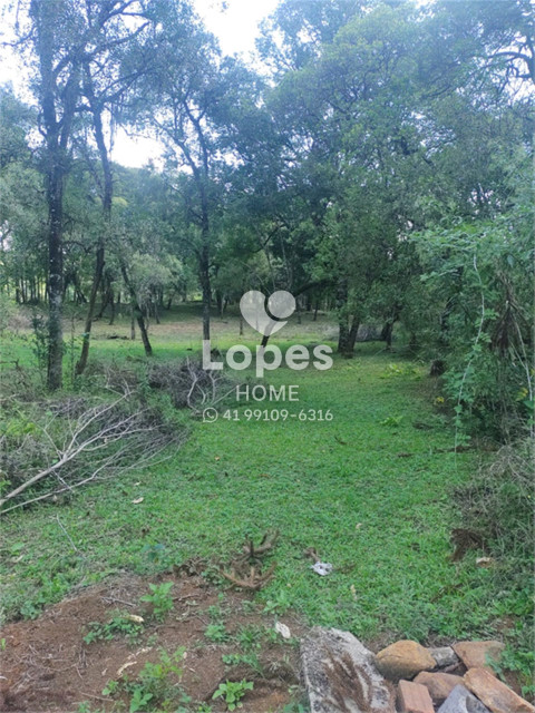 TERRENO no Bairro: Tranqueira - Lopes Home - Almirante Tamandare - foto 1