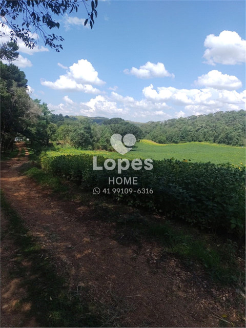 TERRENO no Bairro: Tranqueira - Lopes Home - Almirante Tamandare - foto 0