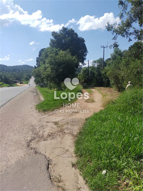 TERRENO no Bairro: Tranqueira - Lopes Home - Almirante Tamandare - foto 11