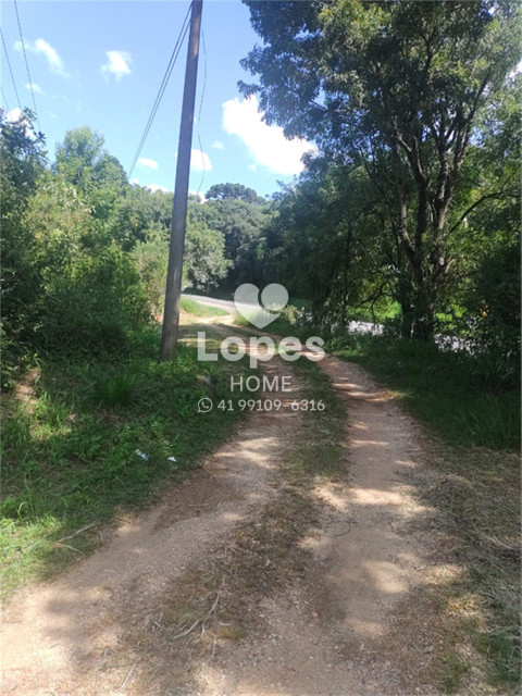 TERRENO no Bairro: Tranqueira - Lopes Home - Almirante Tamandare - foto 7