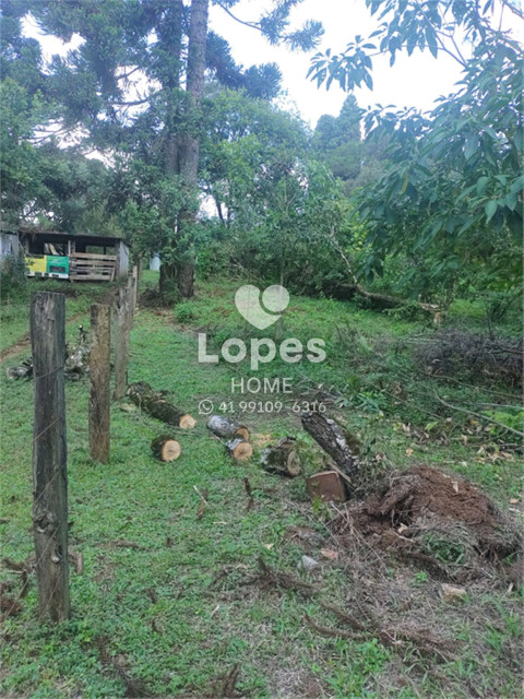 TERRENO no Bairro: Tranqueira - Lopes Home - Almirante Tamandare - foto 14