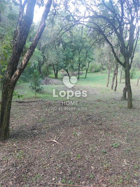 TERRENO no Bairro: Tranqueira - Lopes Home - Almirante Tamandare - foto 8