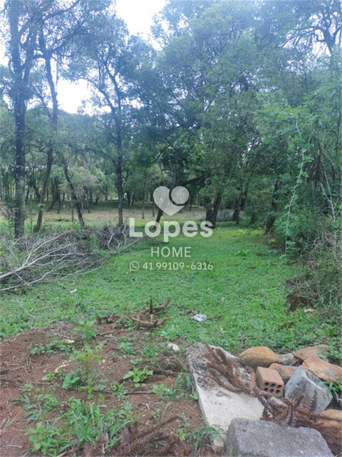 TERRENO no Bairro: Tranqueira - Lopes Home - Almirante Tamandare - foto 9