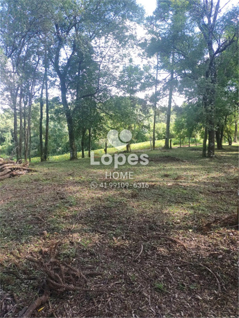 TERRENO no Bairro: Tranqueira - Lopes Home - Almirante Tamandare - foto 2