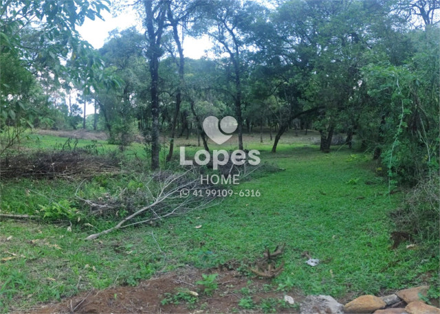 TERRENO no Bairro: Tranqueira - Lopes Home - Almirante Tamandare - foto 13