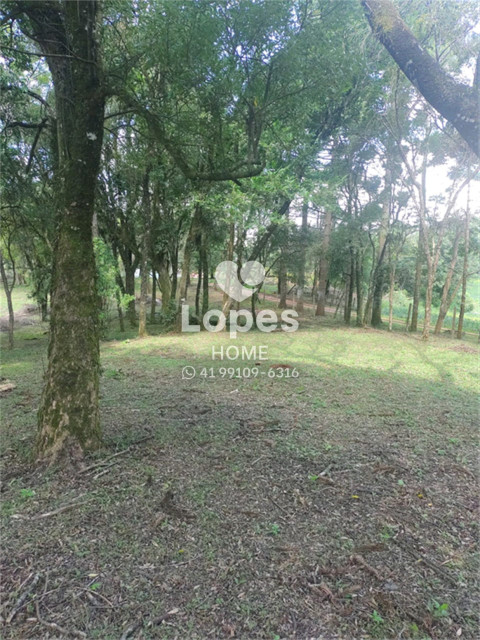 TERRENO no Bairro: Tranqueira - Lopes Home - Almirante Tamandare - foto 10