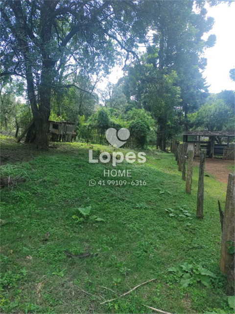 TERRENO no Bairro: Tranqueira - Lopes Home - Almirante Tamandare - foto 12