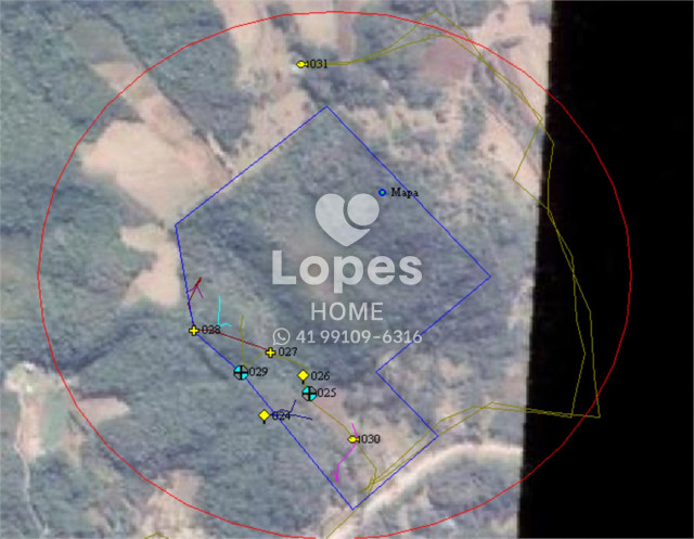 ÁREA no Bairro: Bateias - Lopes Home - Campo Largo - foto 7