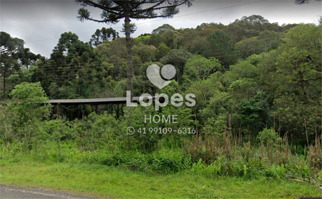 ÁREA no Bairro: Bateias - Lopes Home - Campo Largo - foto 3