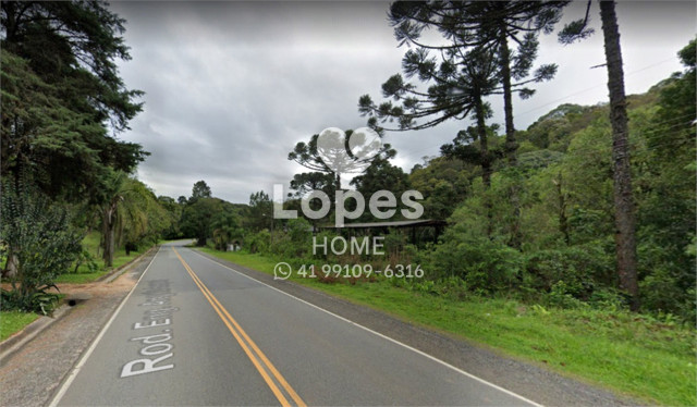 ÁREA no Bairro: Bateias - Lopes Home - Campo Largo - foto 5