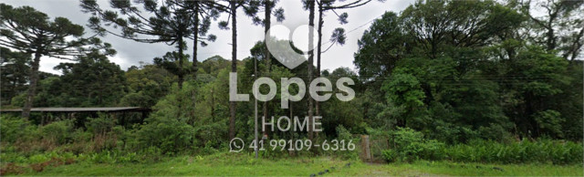 ÁREA no Bairro: Bateias - Lopes Home - Campo Largo - foto 2