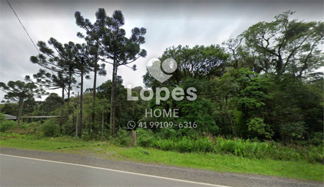 ÁREA no Bairro: Bateias - Lopes Home - Campo Largo - foto 12