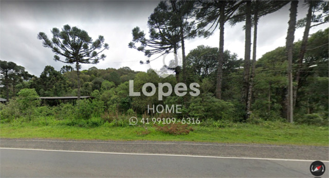 ÁREA no Bairro: Bateias - Lopes Home - Campo Largo - foto 14