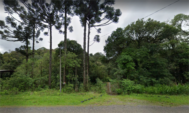 ÁREA no Bairro: Bateias - Lopes Home - Campo Largo - foto 1